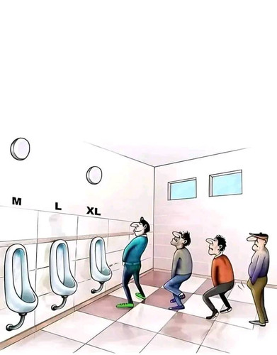 450508120 368229502953935 6070101838921395793 n.jpg