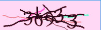 captcha.png