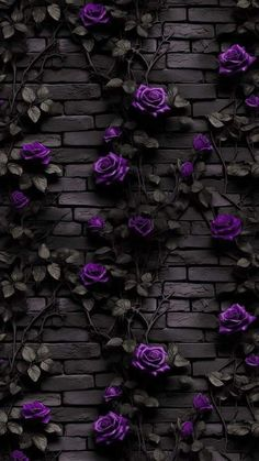 image 2024 07 14 013632190.png