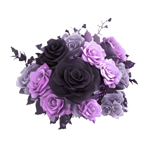 image 2024 07 14 000712936.png