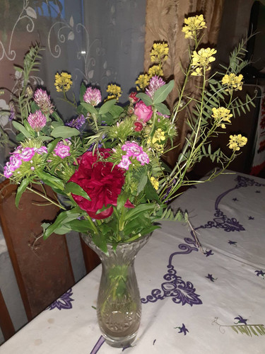 день народження 1 17.05.2024.jpg
