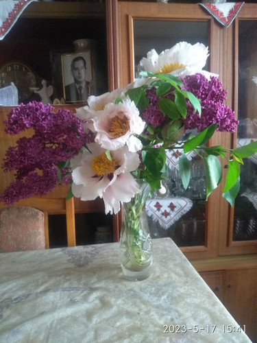 день народження 17.05.2023.jpg