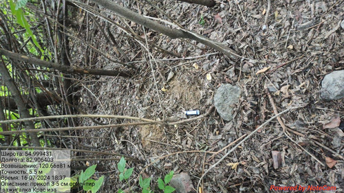 IMG 20240716 WA0050.jpg