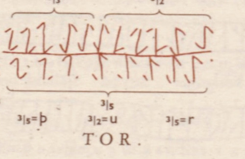 E8396CCC 5470 43F6 8BA4 2336C09C4D55.jpg