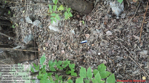 IMG 20240716 WA0045.jpg