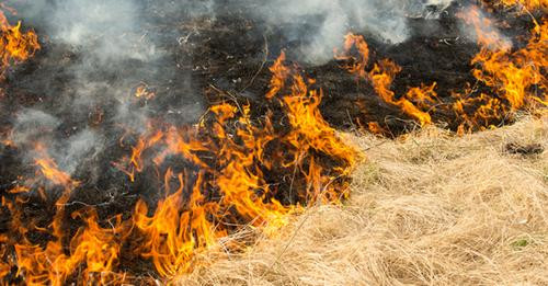 10099408477712651516?url=https%3A%2F%2Fimgcdn.wetter.at%2FFlurbr%25C3%25A4nde Header.png%2FconsoleMa.jpg