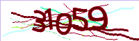 captcha.png