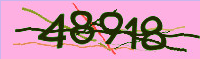 captcha.png