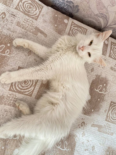 dtXTuQvC95Z6YHQcdvdTHJ g5ZGer6XClGlfDABGgEMFN0CqhlxWg DvknS7ig1SYb O BshBVWgbBmzOoNnDx3tn7 e8U9vcAOp.jpg