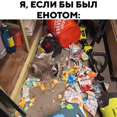 Cb8WhDFyIJnOjRjXjsLb2Fv7UBNLCu7ZghLFZUZuuLdv8sSrS93IBrRUQ1 z27ttB8FfCCTUw8fSqsTVR iPTVDi2YTXYNKZ3NUo.jpg