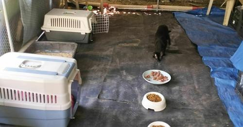 13286645163585509263?url=https%3A%2F%2Fstatics.cedscdn.it%2Fphotos%2FMED HIGH%2F91%2F31%2F8239131 13.jpg