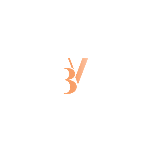 BV Logo 17.png