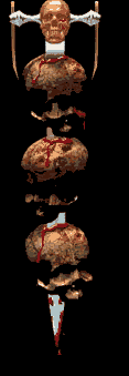 vampire skulls& sowrd.gif