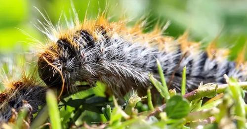 6602286210484311011?url=https%3A%2F%2Ffrance3 regions.francetvinfo.fr%2Fimage%2FXqZDnYmNEx r3Cu9qyIV.jpg