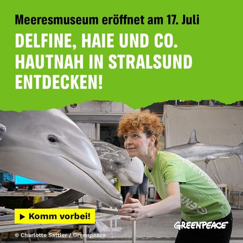 451780082 893814649455337 8131068688299936862 n.jpg?stp=dst jpg p526x296& nc cat=101&ccb=1 7& nc sid.jpg