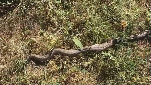 451548679 880070097480877 8202801492550855714 n.jpg?stp=dst jpg s600x600& nc cat=101&ccb=1 7& nc sid.jpg