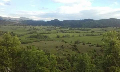 451424530 886617653486475 3209714656957200114 n.jpg?stp=dst jpg s600x600& nc cat=102&ccb=1 7& nc sid.jpg