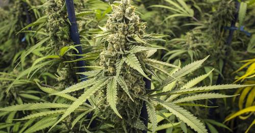 840502404594137412?url=https%3A%2F%2Fdk news.com%2Fwp content%2Fuploads%2F2024%2F07%2Fstage 4 scaled.jpg