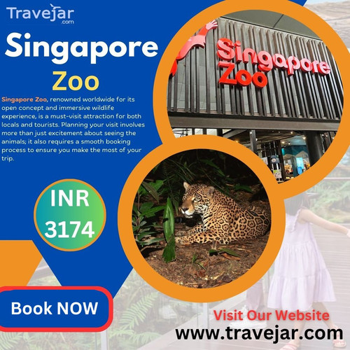 Discover the Wonders of the Singapore Zoo.jpg