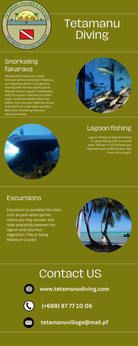 Snorkeling Fakarava: Where Rainbow Reefs and Reef Dwellers Play.jpg