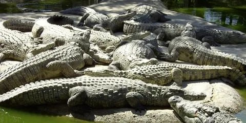 UmA1i4 HdrRdLPO4FxbDAyI sBv3BCOKW1Z ywlqOYJWN4F2Ol6kUrEgCUTzeK6aW9TfFYXxvXgyq4H5XbMvNeRfWhrRK0fjJqpC.jpg