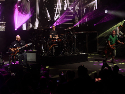 paralamas 1.jpg
