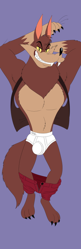 Hankfront v2flat.png