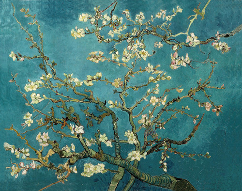 Blossoming Almond Tree.jpg