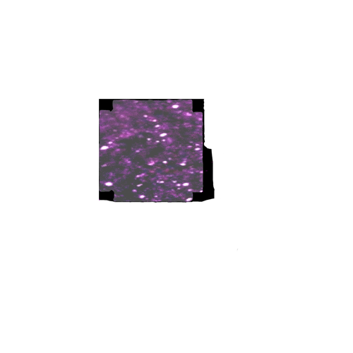 image 2024 07 14 021724224.png