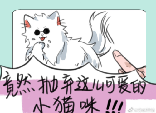 微信图片 20240714145359.png