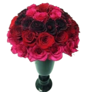 image 2024 07 14 020319731.png
