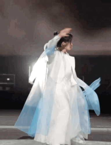 IMG 1329.gif