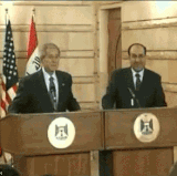 bush shoe.gif