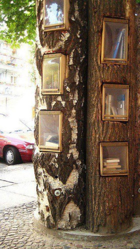 2356. Book lovers result.jpg