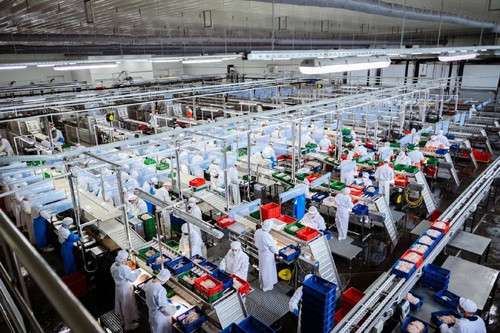 Ziht86m4MwEWhE2n6yjJ xyvN7ZFzR3 HxauddvHzfw37pik82JFSXj ROzhH9ajus8Yf73HppXdQgbRTAo38bE3OS5IRiQHE7LW.jpg