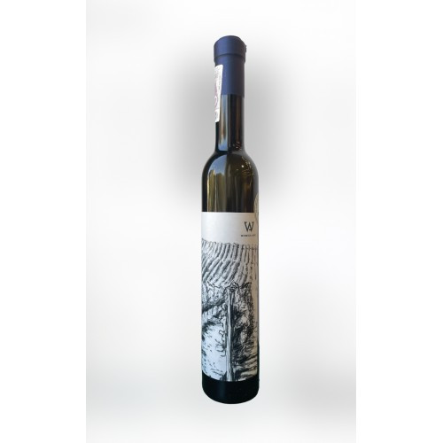 winnica aris muscaris arctic.jpg