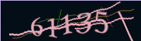 captcha.png
