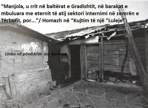 451138810 1006491478153663 9060082588891440446 n.jpg?stp=dst jpg s720x720& nc cat=108&ccb=1 7& nc si.jpg