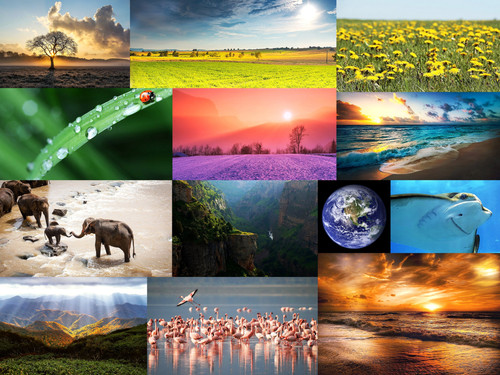 ' Glorified is The Mighty Creator '.jpg