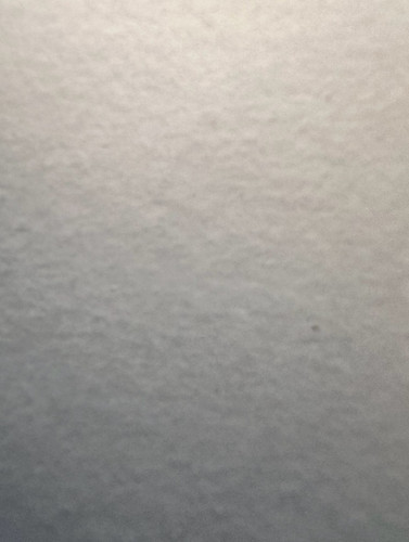 219.jpg