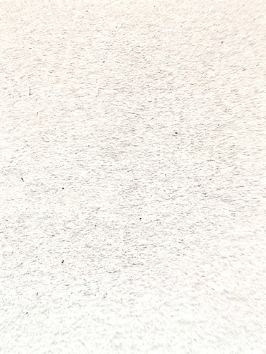 222.jpg