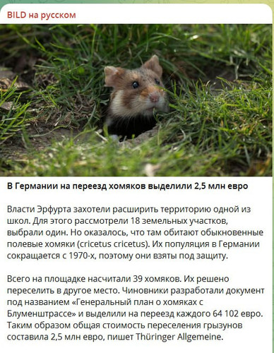 qmAiI5eyhrapOgHbNryts6c6jZ2Gp DQzsDqYXIVNbDsg bilWSAbBopkPuNBmcQKlM7Im7XSwFAfDiuhu1SNxj0VdYy8LV 7J6j.jpg