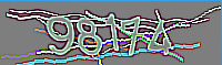 captcha.png