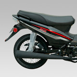 carbono