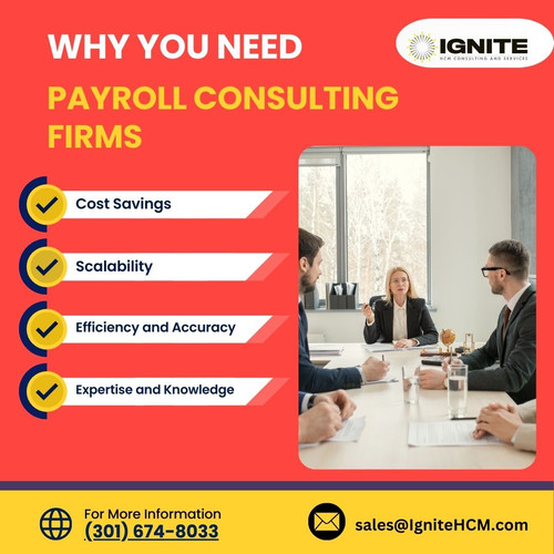why you need payroll consulting firms.jpg