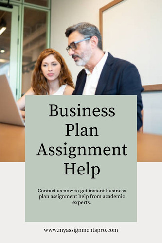 Business plan assignment help.jpg