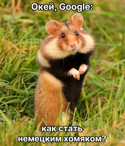 gLiI5CkBjQBrFB NkFLD8lU2 UX O3trdbMwqrjP5D2PZGu8irDgN5Kd2YJ3ft5Lcip SXxS JjPcFg93ZW RQJkvn2mydY18rq .jpg