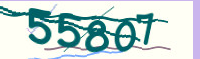 captcha.png