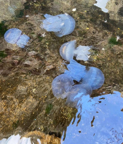 FmgP9sFHWHU mKLIkQcfdf4XqvTaFuPAZ5Zm3Cw7cvE4tulR9BZxtwDC645ZVFr1Po6hp2JmbYVmD1bqmAr45pMMlJf9g91t CQF.jpg