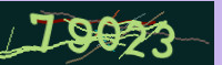 captcha.png